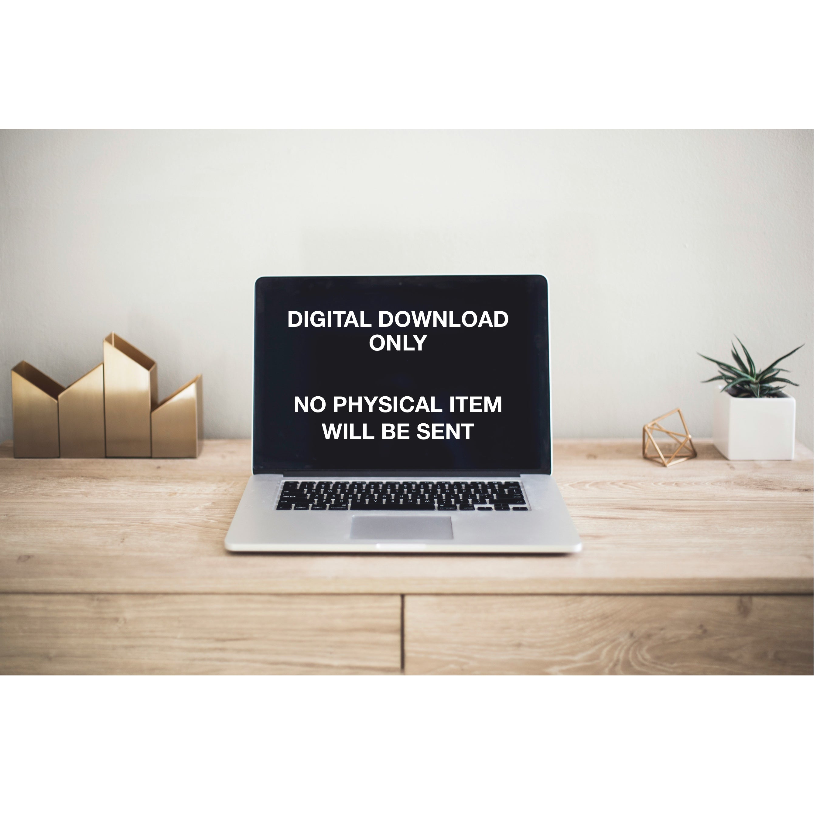 Laptop on a desk with a screen displaying 'Digital Download Only, No Physical Item Will Be Sent'.Rustic farmhouse scarecrow project – digital PDF plans for autumn porch display
