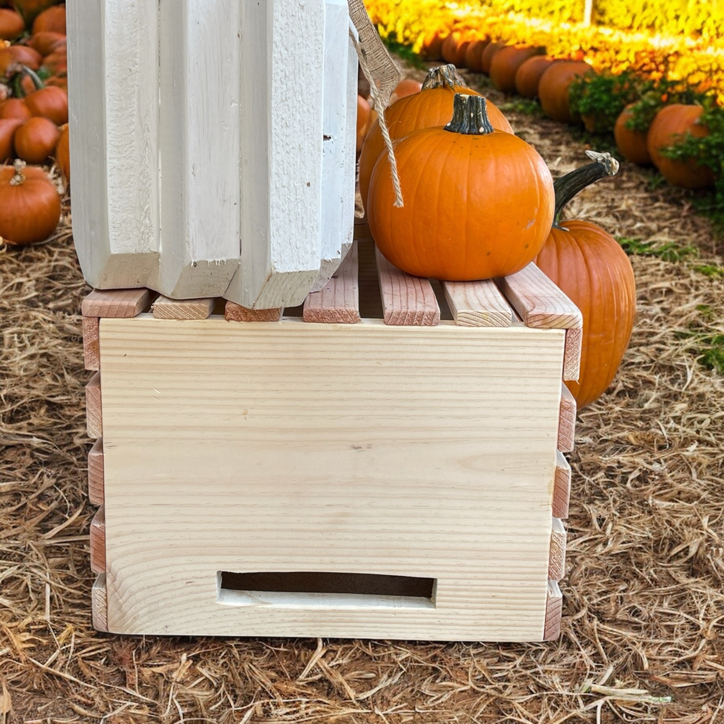 Rustic DIY crate project build plans, blurred sample pages visible
